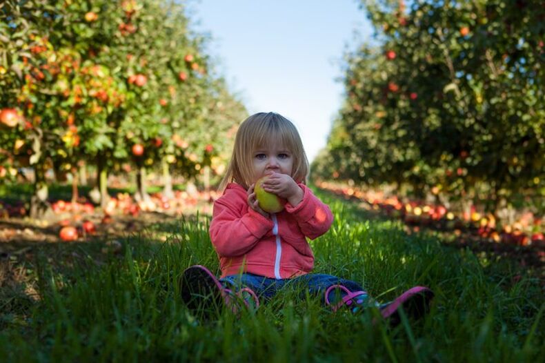 Kinder mit Diagnose von Diabetes mellitus können hässliche Früchte verwenden